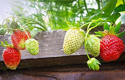 《遗迹2》枪手介绍影片公开 发售日期待定